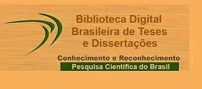 MASTER DEGREE DISSERTATION * Brazilian Digital Library of Theses and Dissertations – BDTD