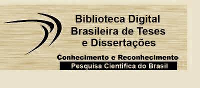 DOCTORATE DEGREE THESIS * Brazilian Digital Library of Theses and Dissertations – BDTD